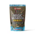 Magic-Mushrooms-Sea-Salt-Dark-Chocolate-Bar-5000mg-570×570