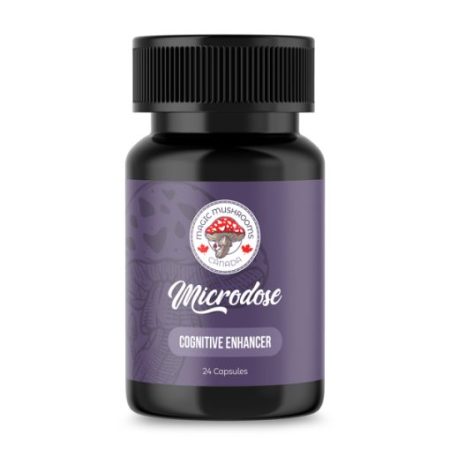 Cognitive Enhancer Microdose Capsules (24) | Magic Mushrooms