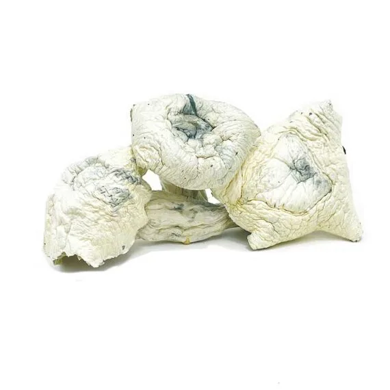 Albino A+ Magic Mushrooms Albino A+ Magic Mushrooms