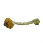 Keeper Creepers Magic Mushrooms