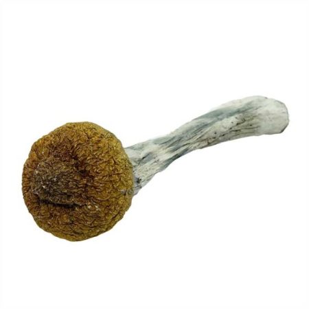 Thai Tanic Magic Mushrooms
