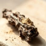 iboga-root-bark-powder-1