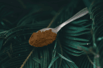 Ibogaine PTA
